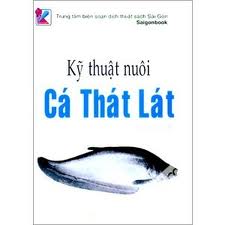 Kỹ thuật nuôi cá thát lát