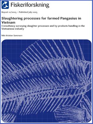 Slaughtering processes for farmed Pangasius in  Vietnam