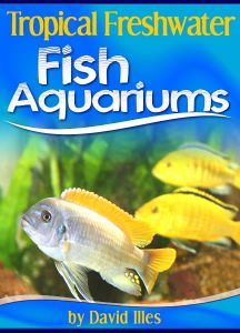 Tropical Freshwater Fish Aquariums