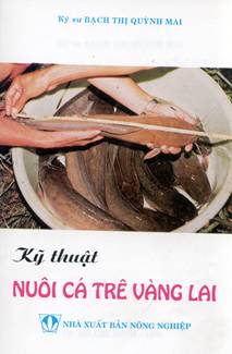 Sách kỹ thuật nuôi cá trê vàng lai