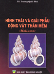 Hình thái giải phẩu động vật thân mềm