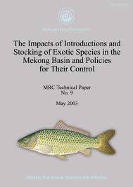 The Impacts of Introductions and Stocking of Exotic Species in the Mekong Basin