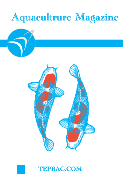 Ảnh hưởng của mật độ nuôi lên chất lượng nước, tăng trưởng và tỉ lệ sống của cá trê vàng (Clarias Macrocephalus) trong hệ thống tuần hoàn