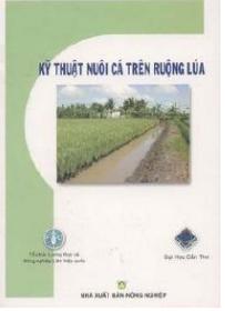 Kỹ thuật nuôi cá trên ruộng lúa