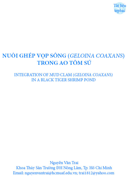 Nuôi ghép vọp sông (<i>Geloina coaxans</i>) trong ao tôm sú