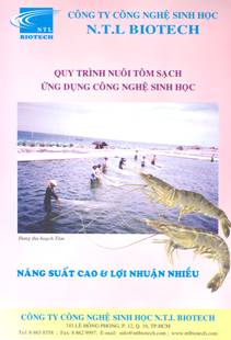 Quy trình nuôi tôm sạch ứng dụng công nghệ sinh học