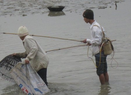 Anh Nguyễn Anh Huy, một người dân xem bắt cá xuýt xoa: “Mình đứng trên bờ còn rét run thế này, người ta lội nước thế kia chắc lạnh cóng chân tay".