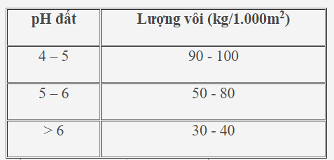 nuôi tôm, nuôi tôm càng xanh,  nuôi tôm trong ruộng lúa