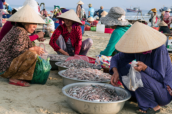 chế biến mắm, mắm Quãng Nam, chế biến mắm Quãng Nam