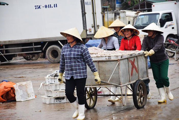 thủy sản Nghệ An, đánh bắt thủy sản, khai thác thủy sản, đánh bắt, sản lượng đánh bắt