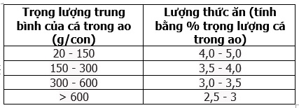 Kỹ thuật nuôi cá leo, cá leo, ca_leo, nuoi_ca_leo, Ky_thuat_nuoi_ca