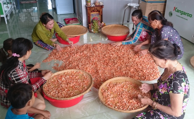 tôm khô, tôm khô Cà Mau, chế biến tôm khô, chế biến tôm