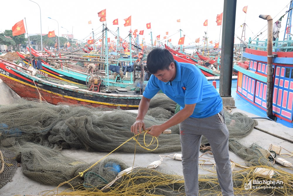 tôm tít, đánh bắt thủy sản, thủy sản Nghệ An, đánh bắt, thủy sản