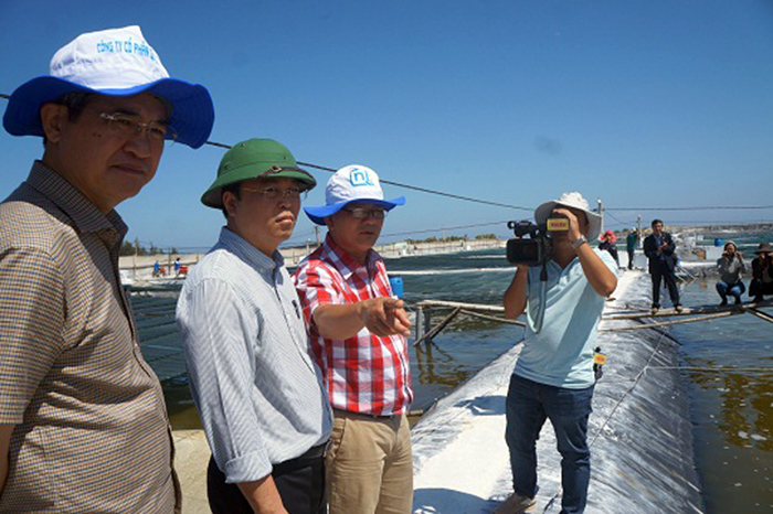 nuôi tôm, mô hình nuôi tôm, trang trại nuôi tôm, nuôi tôm Quảng Nam, doanh nghiệp nuôi tôm