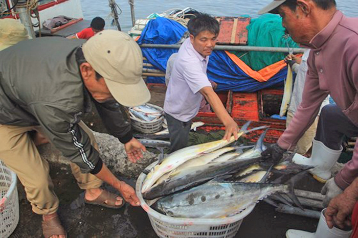 thủy sản, đánh bắt thủy sản, đánh bắt, đánh bắt xa bờ