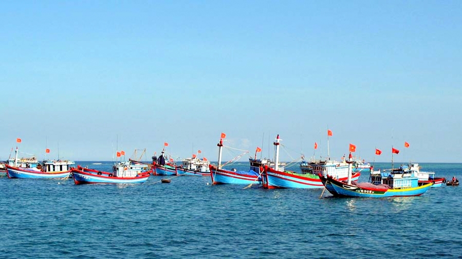 nuôi tôm, nuôi tôm Quảng Ninh, mô hình nuôi tôm, thủy sản