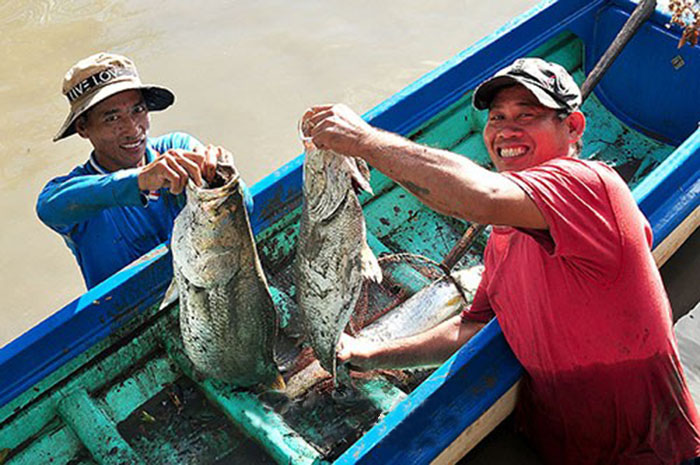 NuÃ´i tÃ´m, cáº£i táº¡o ao, cáº£i táº¡o ao Äáº¥t, ká»¹ thuáº­t nuÃ´i tÃ´m, dÃ¢y thuá»c cÃ¡