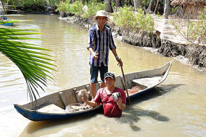 Nuôi tôm, cải tạo ao, cải tạo ao đất, kỹ thuật nuôi tôm, dây thuốc cá