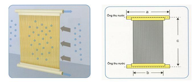 lưới lọc sinh học, nuôi tôm, lưới lọc nuôi tôm, nuôi tôm thẻ, nuôi tôm thẻ chân trắng