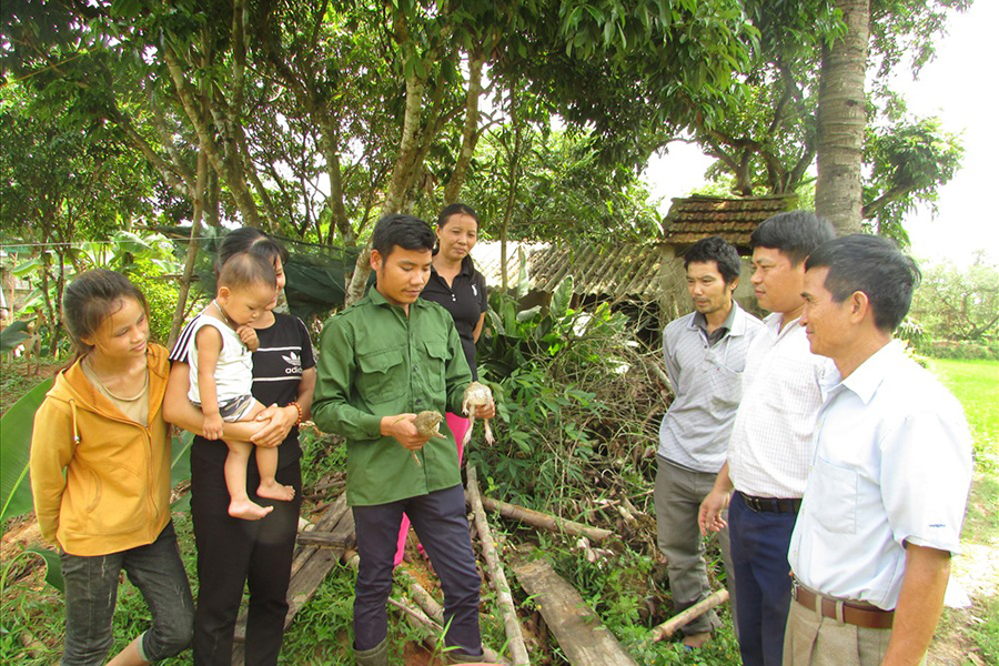 nuôi ếch, mô hình nuôi ếch, nuôi ếch làm giàu, giá ếch, nông dân làm giàu