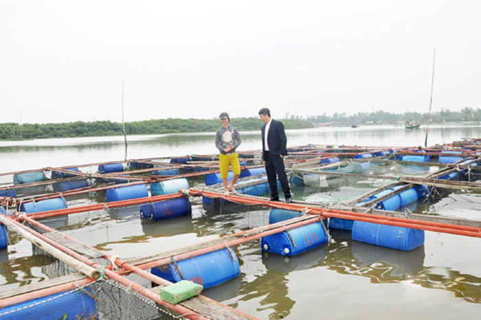 nuôi tôm, nuôi cá, thủy sản, thủy sản Hà Tĩnh, nuôi tôm Hà Tĩnh