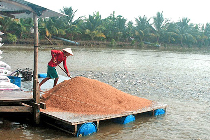 Cá tra, giống cá tra, sản xuất giống cá, nuôi cá, nuôi cá tra, giá cá tra