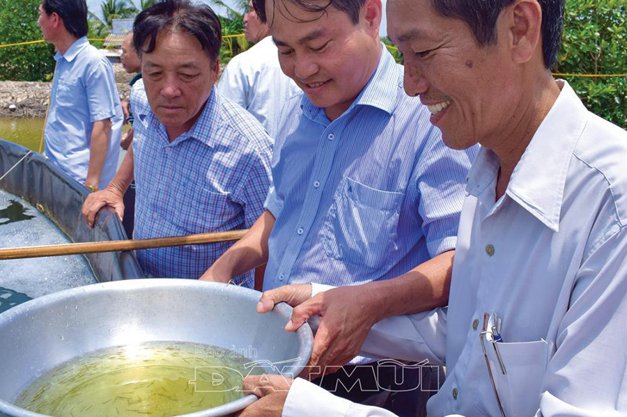 nuôi tôm, nuôi tôm 2 giai đoạn, nuôi tôm sú, nuôi tôm sú 2 giai đoạn, mô hình nuôi tôm