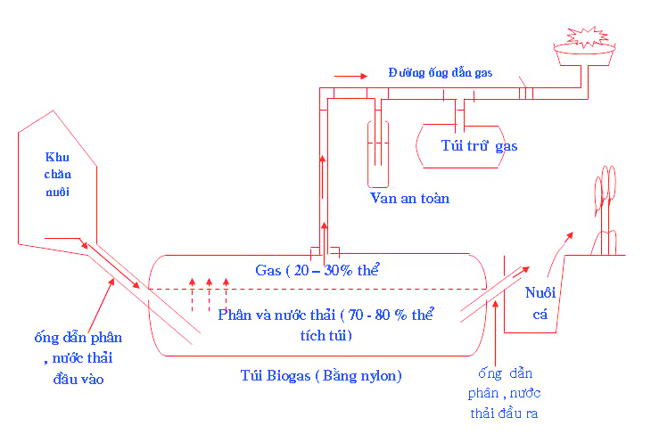 Kỹ thuật lắp đặt túi ủ Biogas hộ gia đình bằng túi nhựa PE