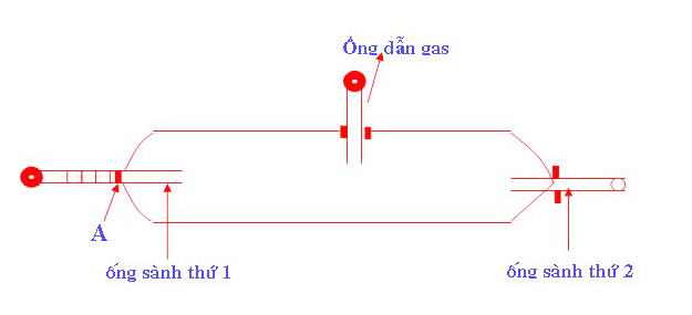 mô hình biogas, xử lý nước thải, xử lý chất thải biogas, hệ thống biogas