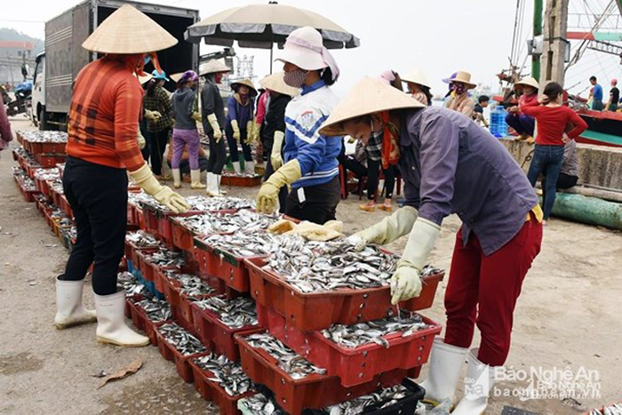 thủy sản, đánh bắt thủy sản, nghề biển, khai thác thủy sản, nghề cá