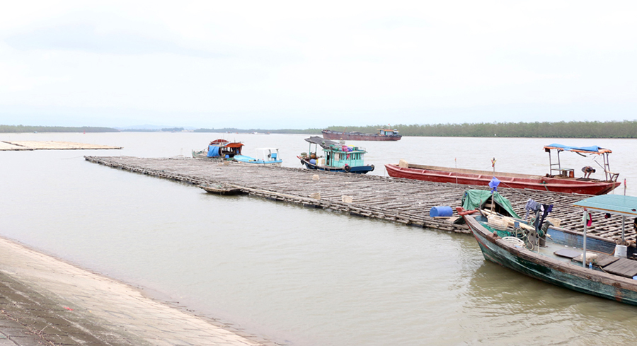 nuôi hàu, nuôi hàu Quảng Ninh, vùng nuôi thủy sản, quy hoạch vùng nuôi