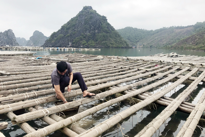 thủy sản, nuôi trồng thủy sản, chính sách thủy sản, nuôi ngao, nuôi ngao giá