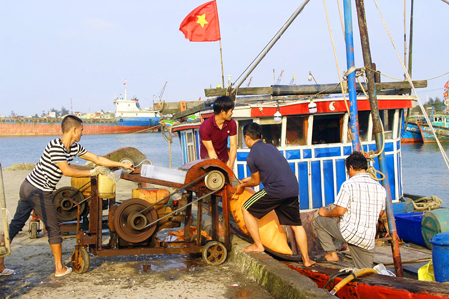 vụ cá nam, sản lượng đánh bắt, thủy sản, đánh bắt thủy sản, đánh bắt