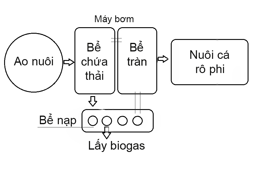 xử lý nước, xử lý nước nuôi tôm, nuôi tôm thẻ, mô hình nuôi tôm, hệ thống biogas