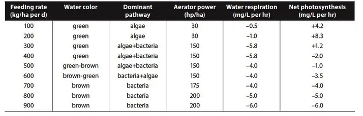 nuôi tôm, kỹ thuật nuôi tôm, biofloc, công nghệ biofloc, hệ thống biofloc