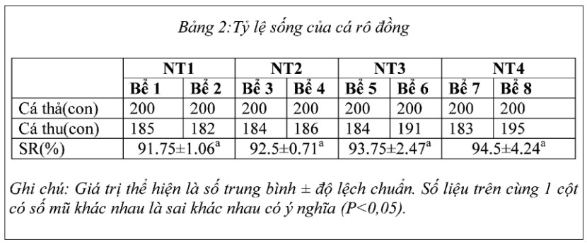 nuôi cá, nuôi cá rô đồng, thức ăn cho cá, thức ăn cá rô đồng