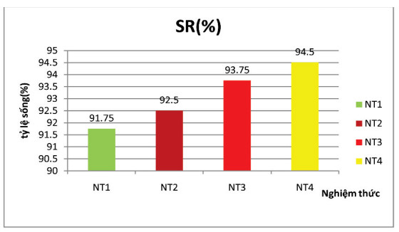 nuôi cá, nuôi cá rô đồng, thức ăn cho cá, thức ăn cá rô đồng