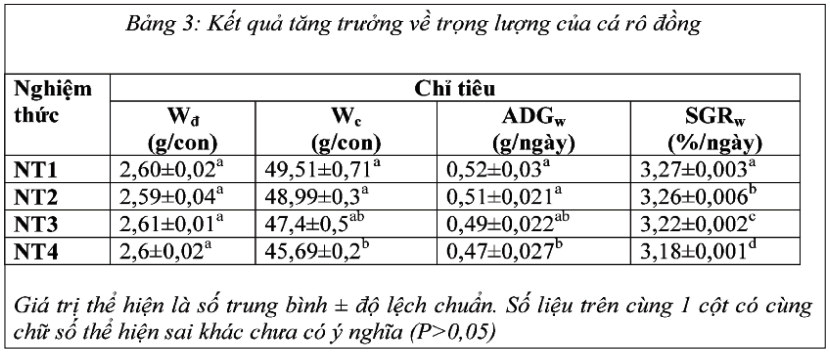 nuôi cá, nuôi cá rô đồng, thức ăn cho cá, thức ăn cá rô đồng