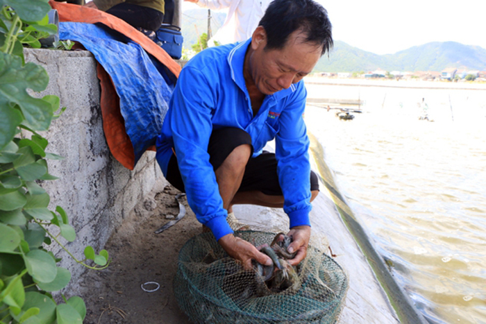 sản phẩm thủy sản, chế biến thủy sản, an toàn thực phẩm