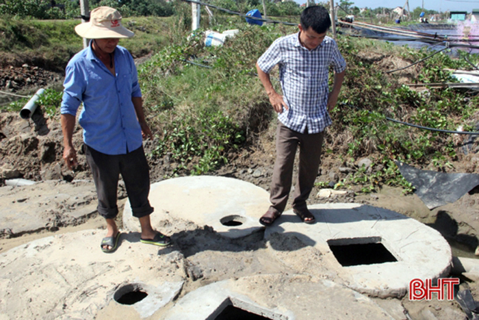 nuôi tôm, nuôi tôm Hà Tĩnh, mô hình nuôi tôm, kỹ thuật nuôi tôm, nuôi tôm trên cát