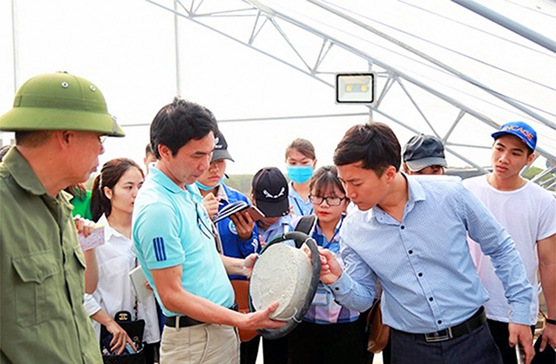 nuôi trồng thủy sản, thủy sản, ngành thủy sản