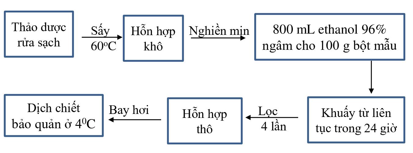 Thảo dược cho cá, nuôi cá, phòng bệnh trên cá, diệp hạ châu, diệp hạ châu trên cá