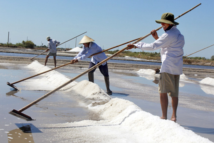 giá muối, sản xuất muối, làm muối