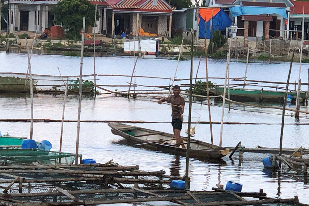 cá chết, nuôi cá, nuôi cá Thừa Thiên Huế, nuôi cá lồng