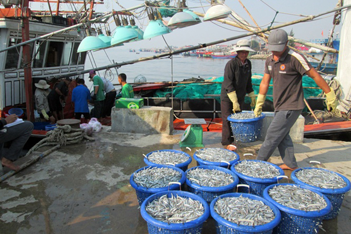 thủy sản, xuất khẩu thủy sản, thị trường Trung Quốc, truy xuất nguồn gốc