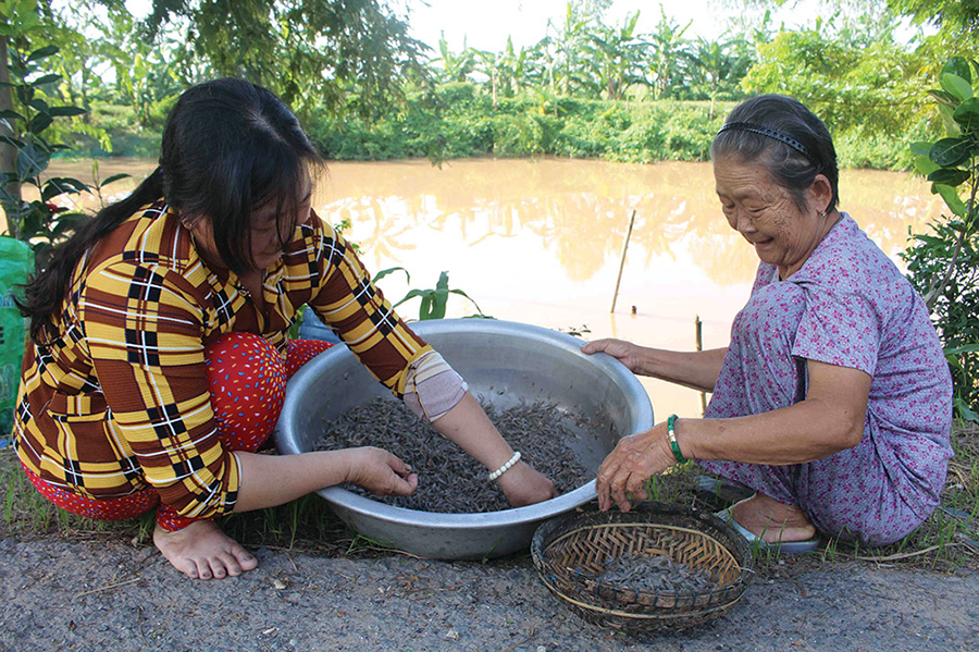 thủy sản, đánh bắt thủy sản, giá cá, giá cá đồng