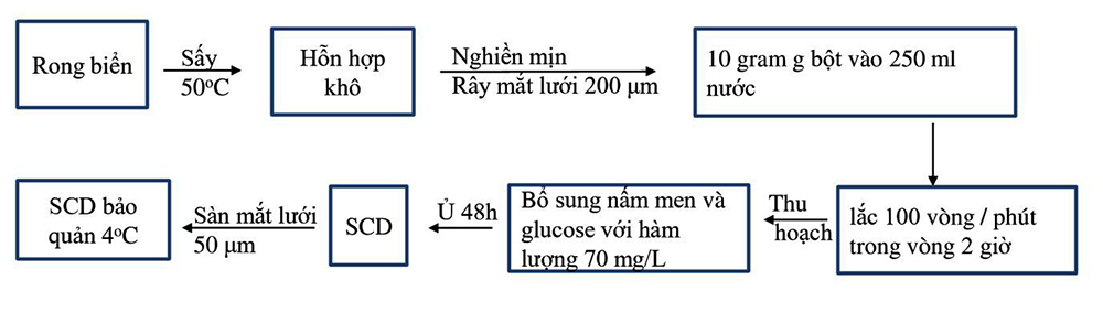 nuôi artemia, thức ăn artemia, Artemia, ương nuôi artemia, nguyên liệu