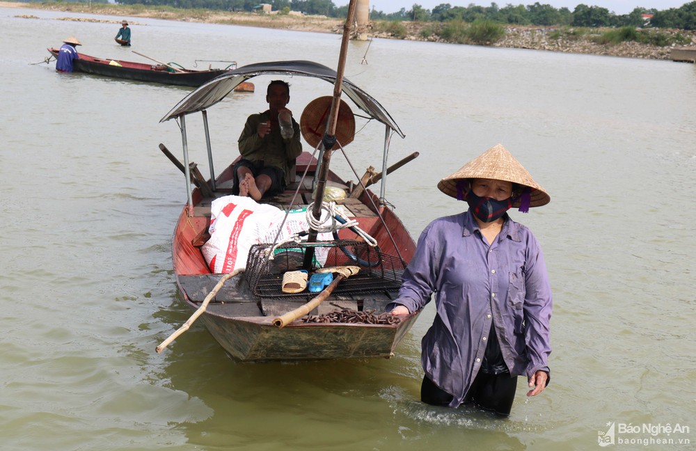 cào hến