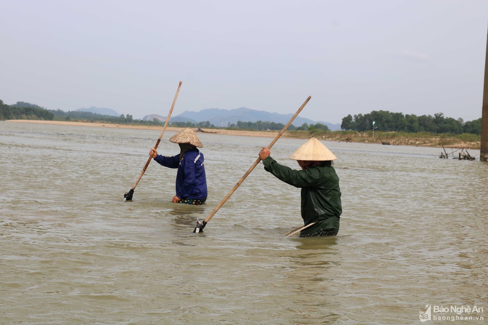 cào hến