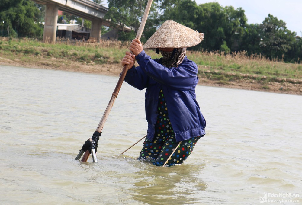 cào hến